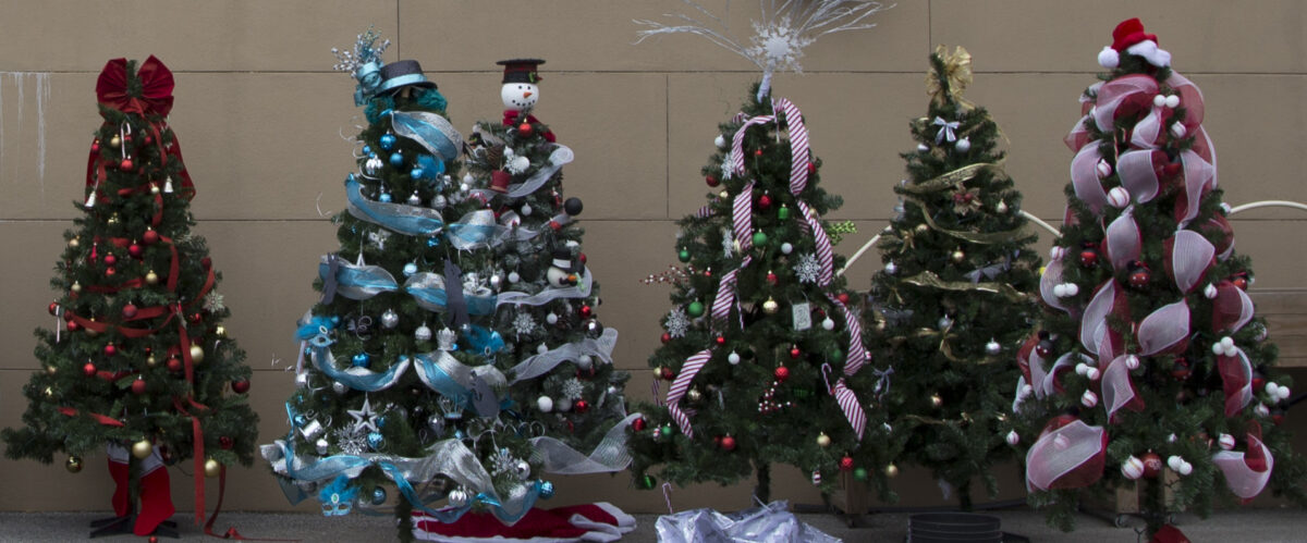 Third annual christmas tree donation helps to make the season bright for families in need